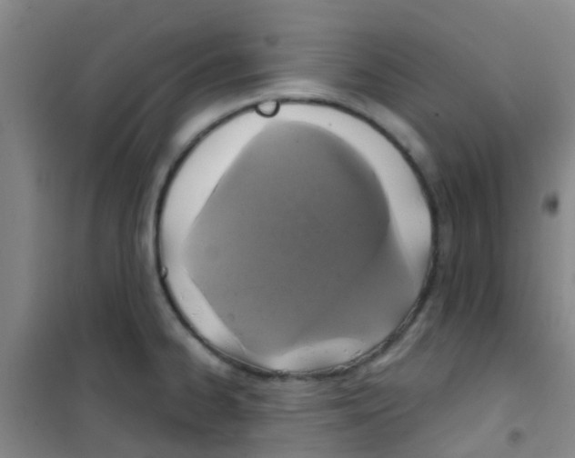 X0000100421334200807032052