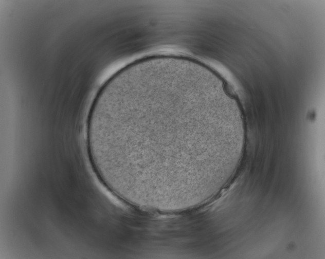 X0000100421335200807032052