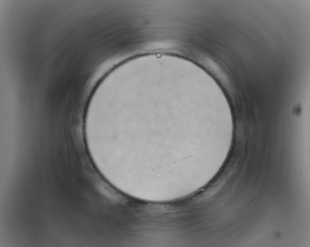 X0000100421336200807032052