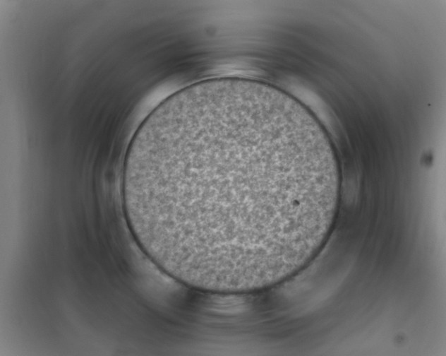 X0000100421338200807032052