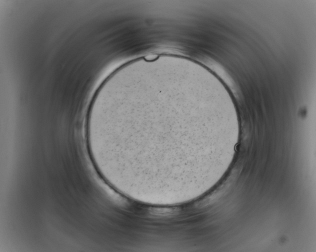 X0000100421339200807032052