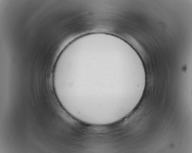 X0000100421340200807032052