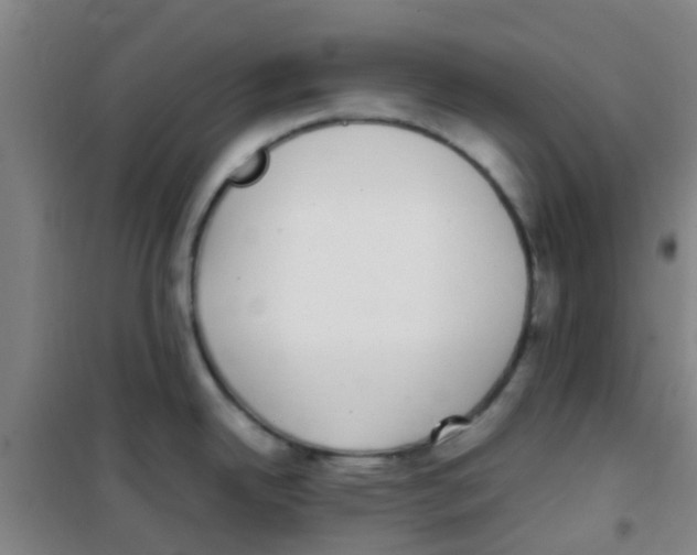 X0000100421342200807032052