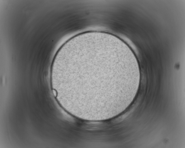 X0000100421343200807032052