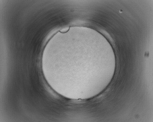 X0000100421344200807032052