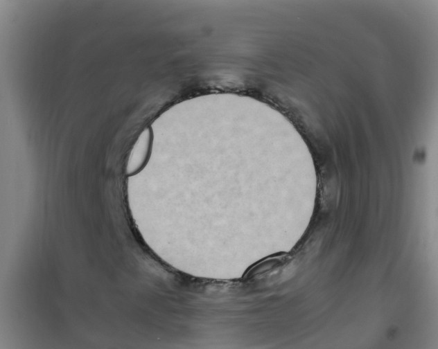 X0000100421345200807032051