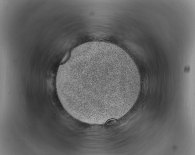 X0000100421346200807032051