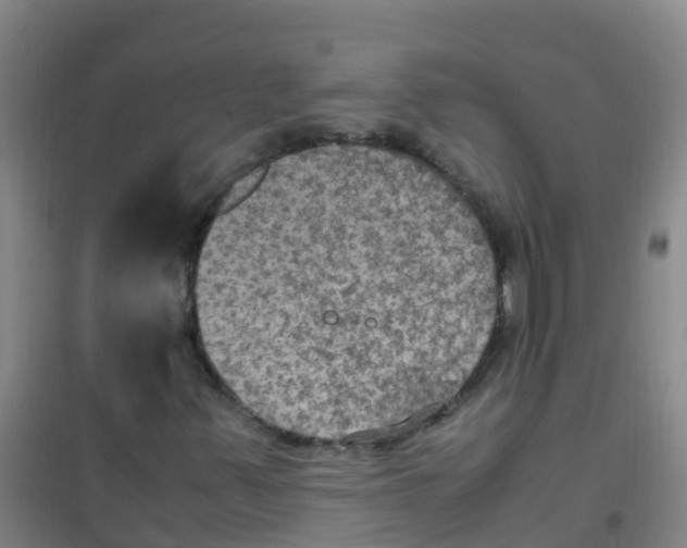 X0000100421347200807032051