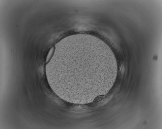 X0000100421348200807032051