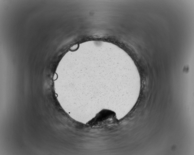 X0000100421349200807032051