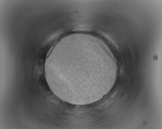 X0000100421350200807032051