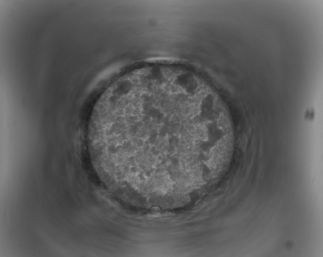 X0000100421351200807032051