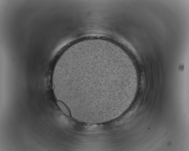 X0000100421352200807032051