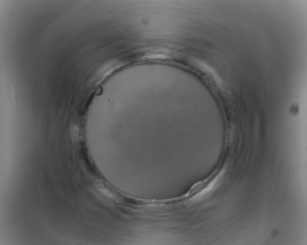 X0000100421353200807032051