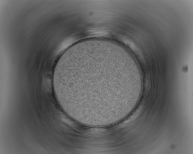 X0000100421354200807032051