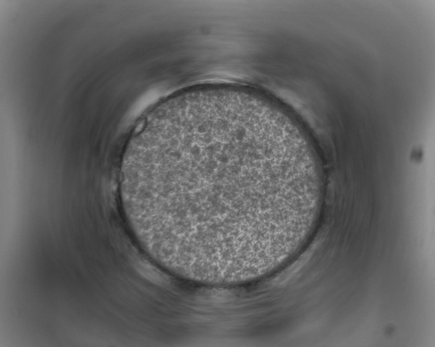 X0000100421355200807032051