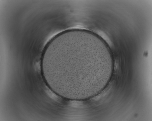 X0000100421356200807032051