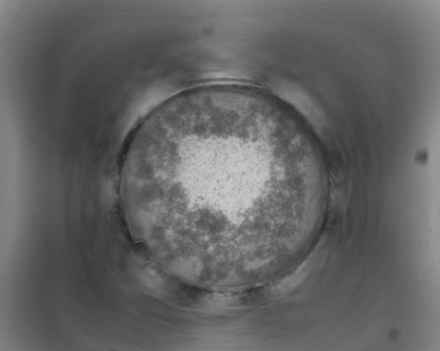 X0000100421357200807032051