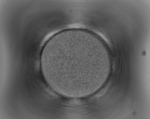 X0000100421358200807032051