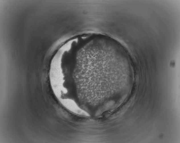 X0000100421359200807032051