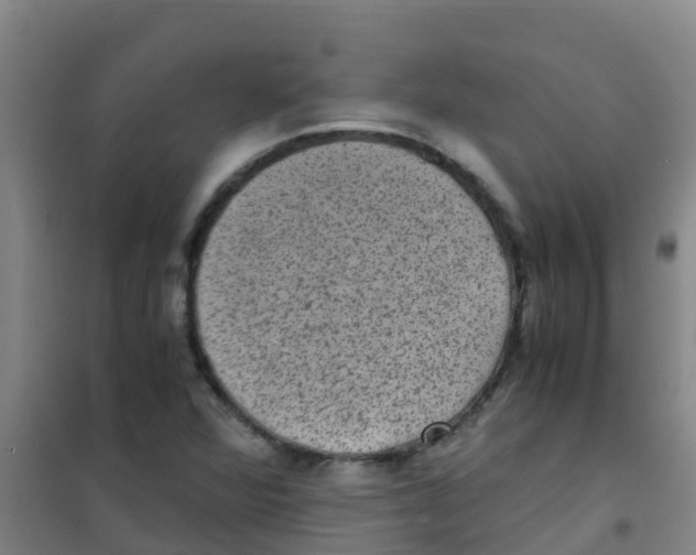 X0000100421360200807032051