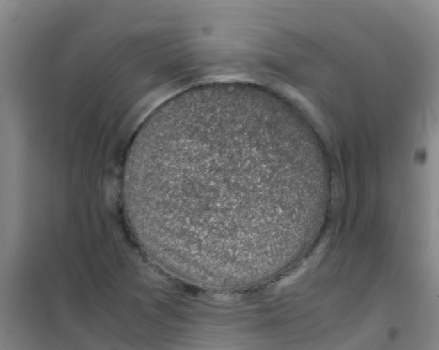 X0000100421361200807032051