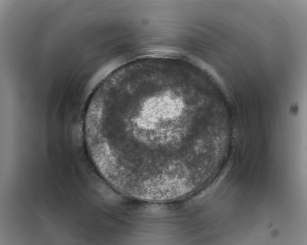 X0000100421362200807032051