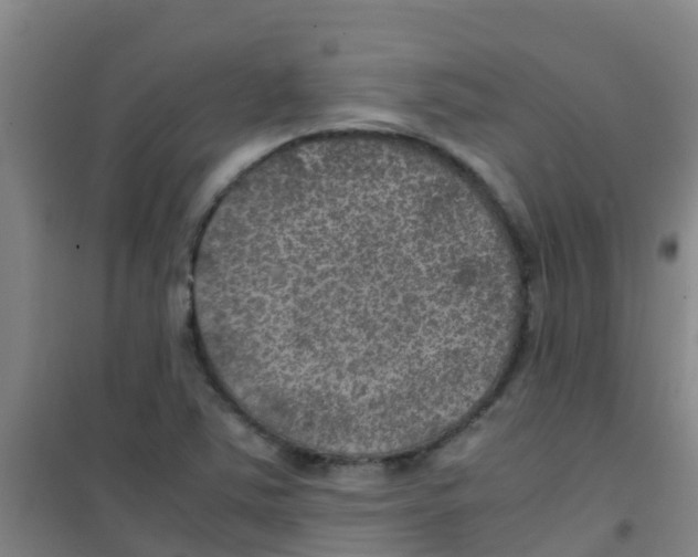 X0000100421363200807032051