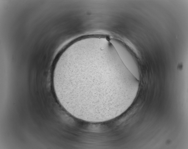 X0000100421364200807032051