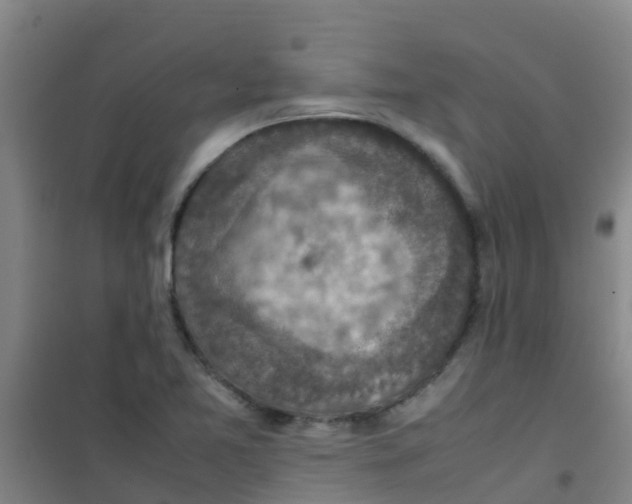 X0000100421365200807032051