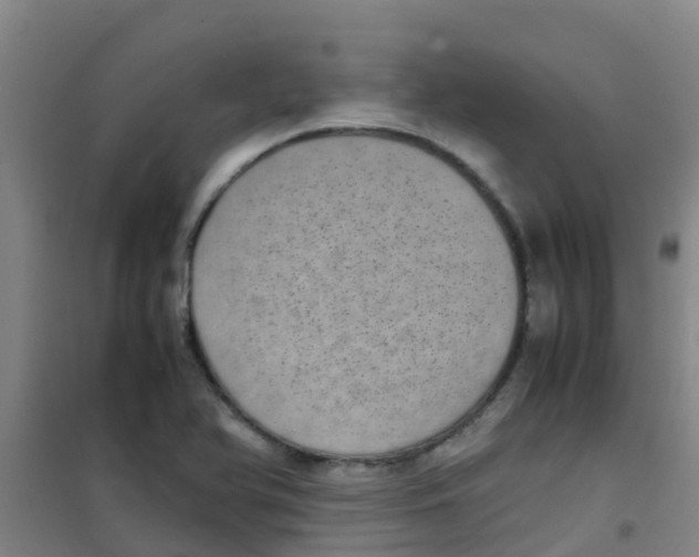 X0000100421366200807032051