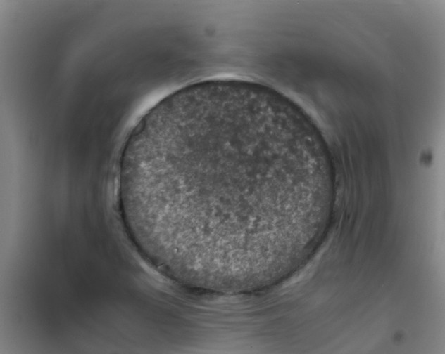 X0000100421367200807032051