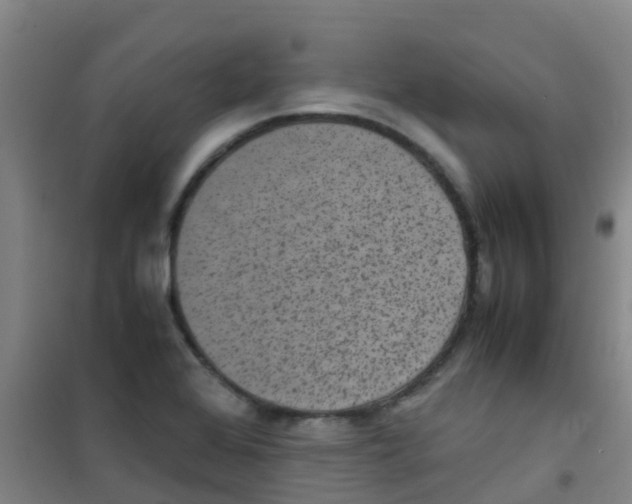 X0000100421368200807032051