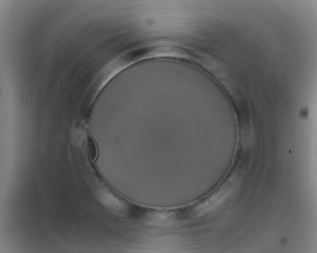 X0000100421369200807032051