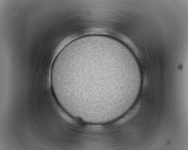 X0000100421370200807032051