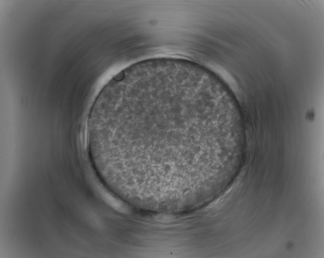 X0000100421371200807032051