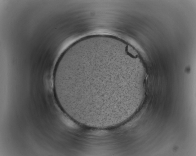 X0000100421372200807032051