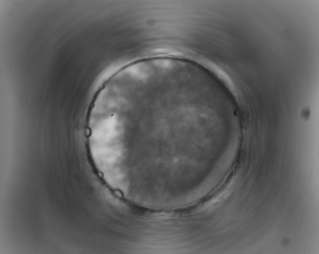 X0000100421373200807032051