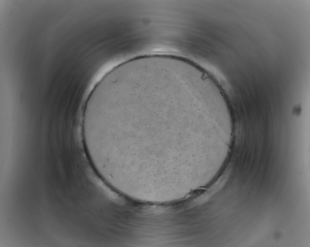 X0000100421374200807032051