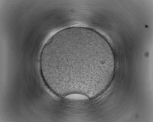 X0000100421375200807032051