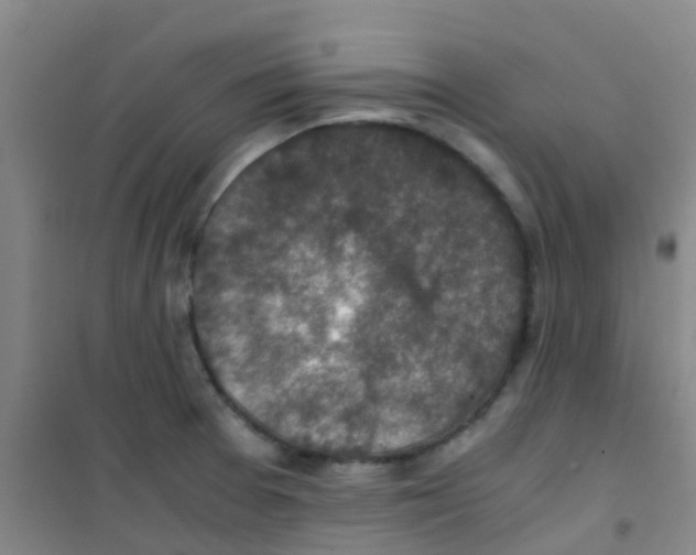 X0000100421377200807032051