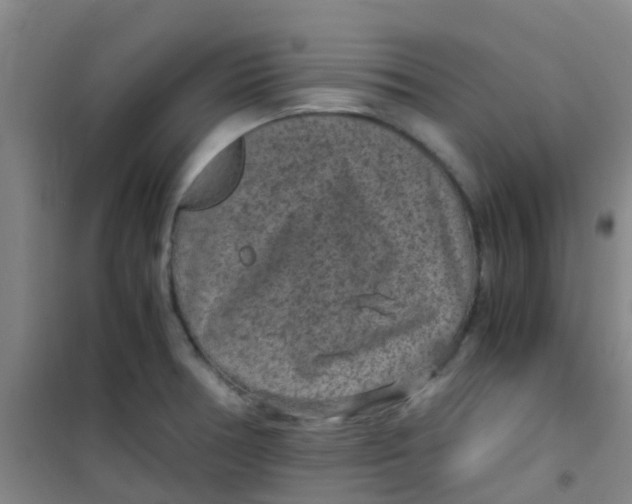 X0000100421378200807032051