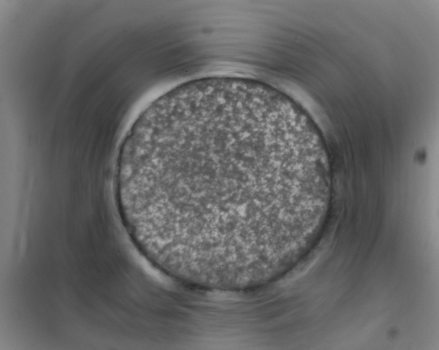 X0000100421379200807032051