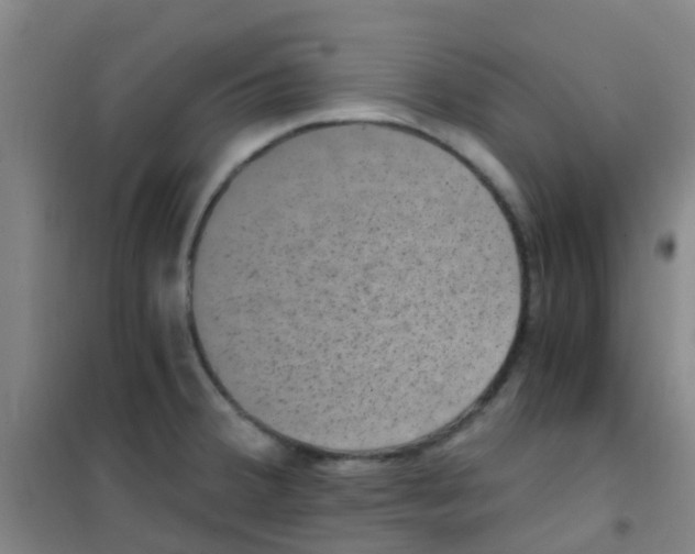 X0000100421380200807032051