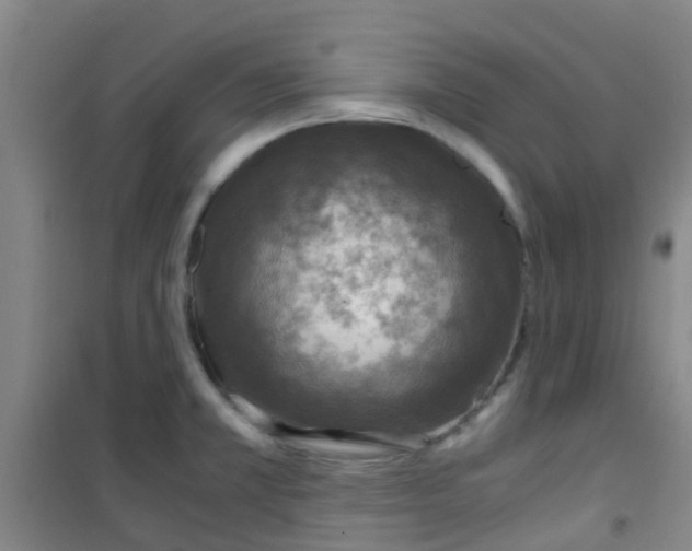 X0000100421381200807032051