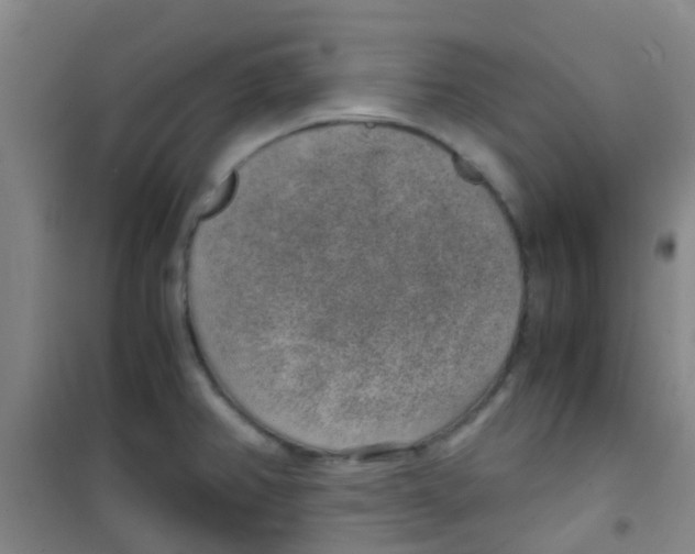 X0000100421382200807032051