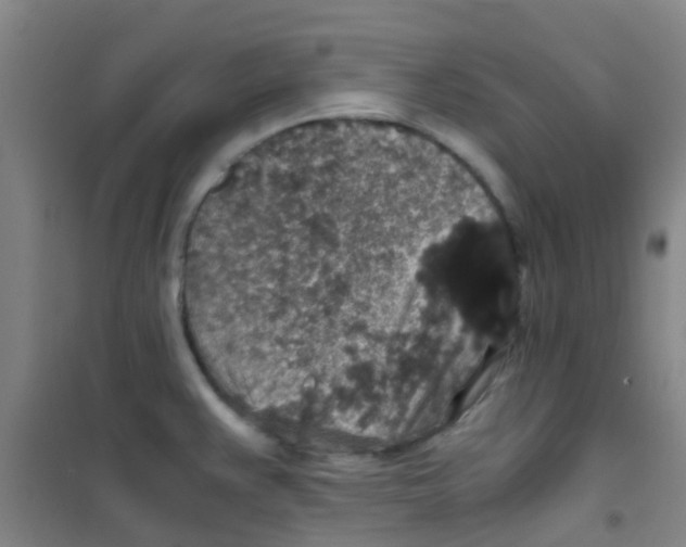 X0000100421383200807032051