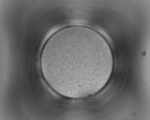 X0000100421384200807032051