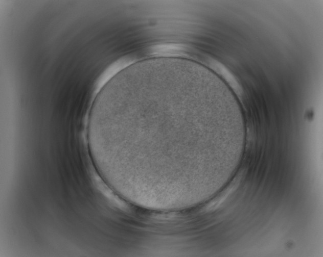 X0000100421386200807032051