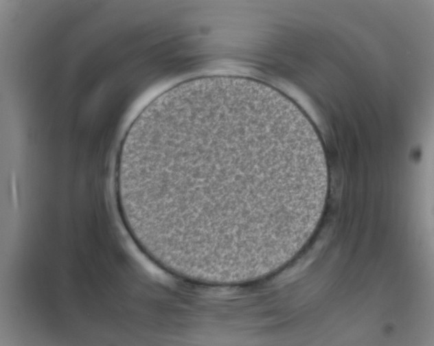 X0000100421387200807032051